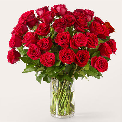 The One Red Rose Bouquet –  Alum Rock Florist, San Jose CA
