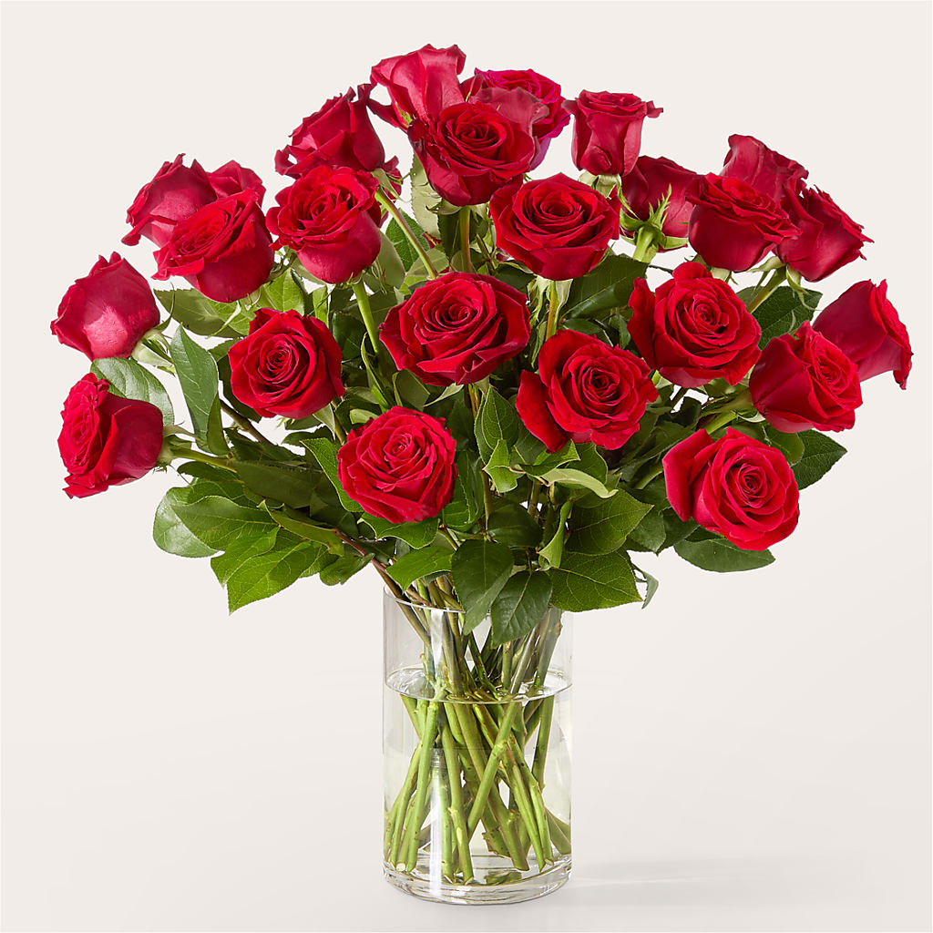 The One Red Rose Bouquet –  Alum Rock Florist, San Jose CA