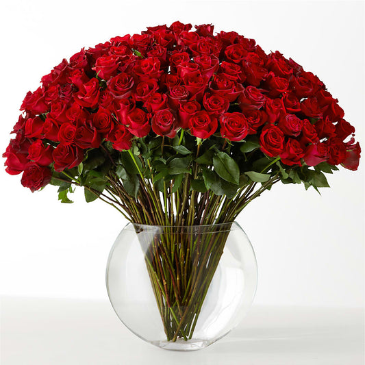 The Idealist –  Alum Rock Florist, San Jose CA