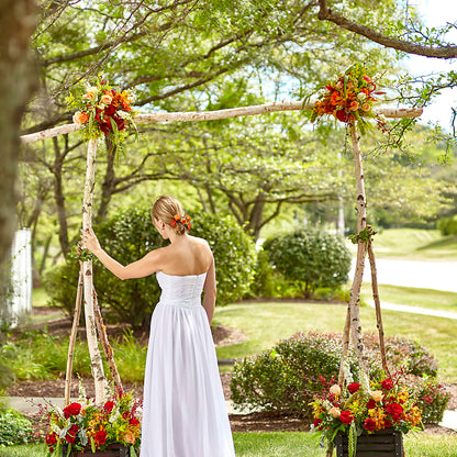 Arbor of Love Archway –  Alum Rock Florist, San Jose CA